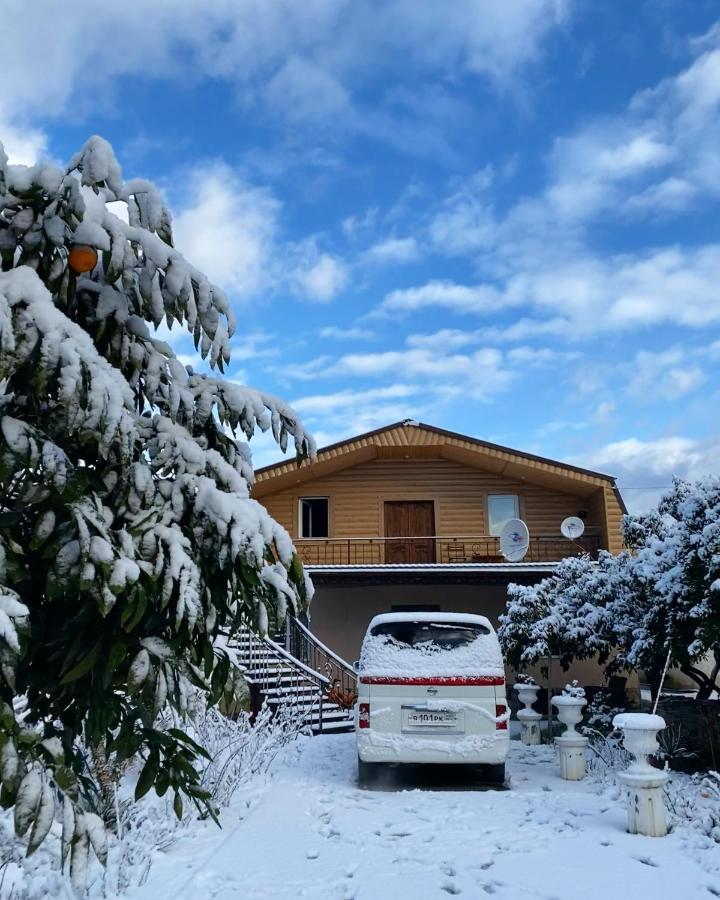 Гостевой Дом Сюзанна Hotel Gagra Bagian luar foto